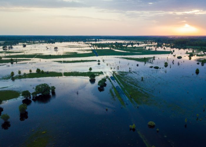 Șase mari orașe din lume vor dispărea până în 2030! Vor fi înghițite de ape