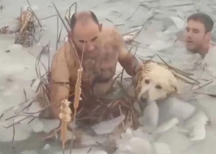 VIDEO Gest de milioane făcut de doi polițiști: Au salvat un câine din apele înghețate
