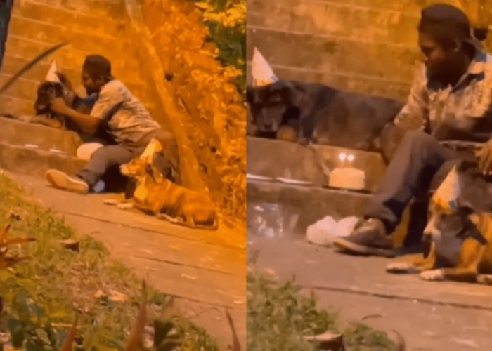 Tânăr fără adăpost, filmat când își sărbătorește câinii cu tort și lumânări. Extraordinar ce s-a întâmplat după! - VIDEO