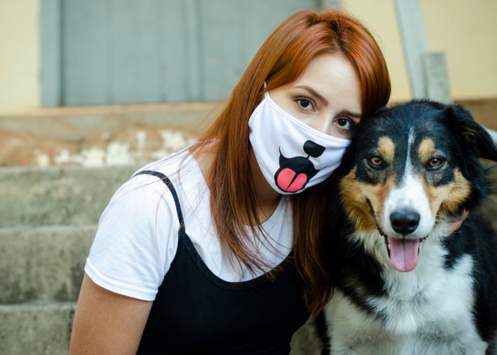 Muzicienii și-au angajat câini care pot detecta COVID-19. Mai eficienți decât testele rapide!
