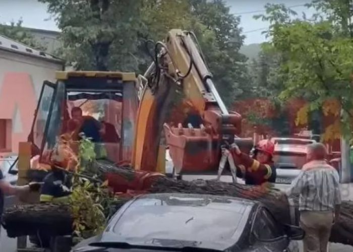 Ghinion! Bolid de lux lovit de două ori de același copac. Salvatorii au agravat situația. Camerele video au surprins momentul!